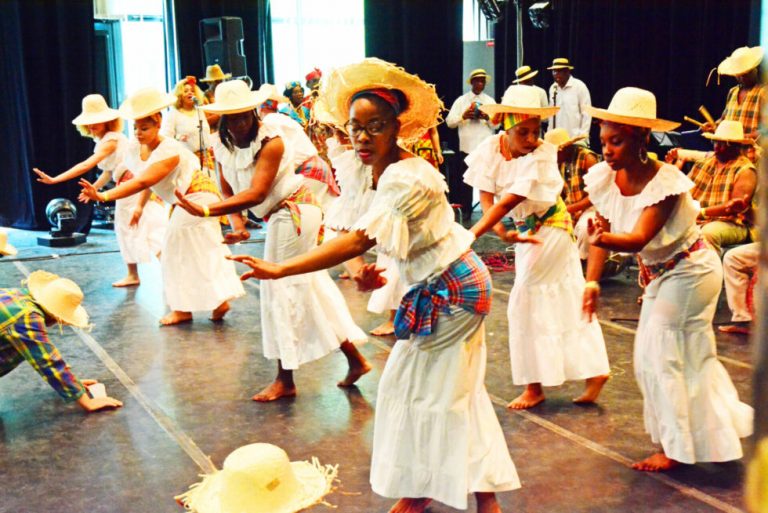 association hibiscus 1 768x513