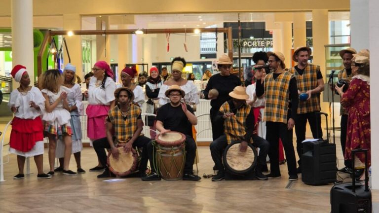 association hibiscus 768x432