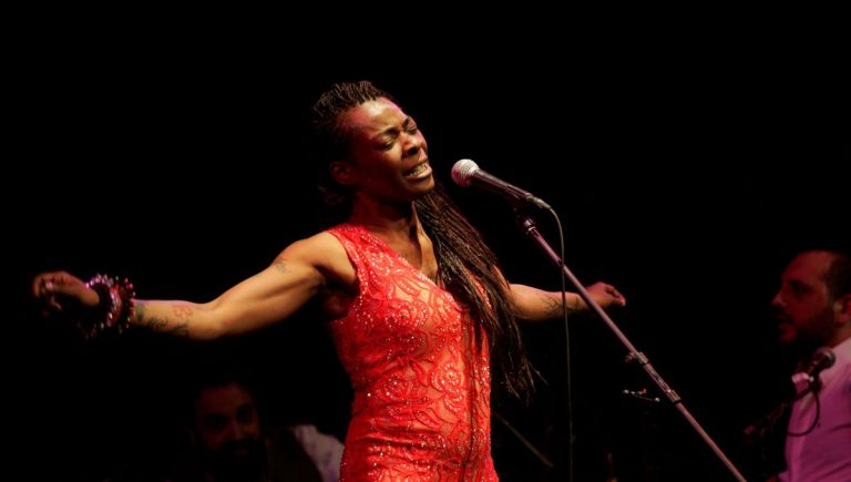 1200x680 sc buika 1 768x435